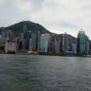 浅语花开