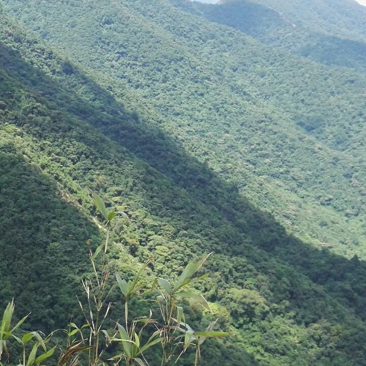小吴