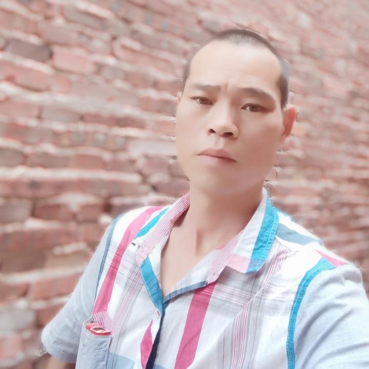 朱哥