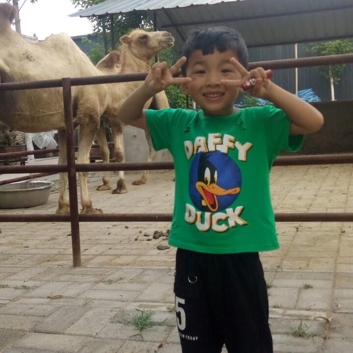 白云_1916279