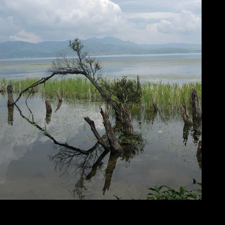 💓月色䑃胧🌹