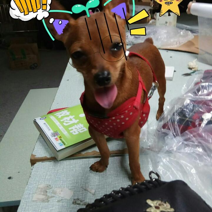 用户907893383105