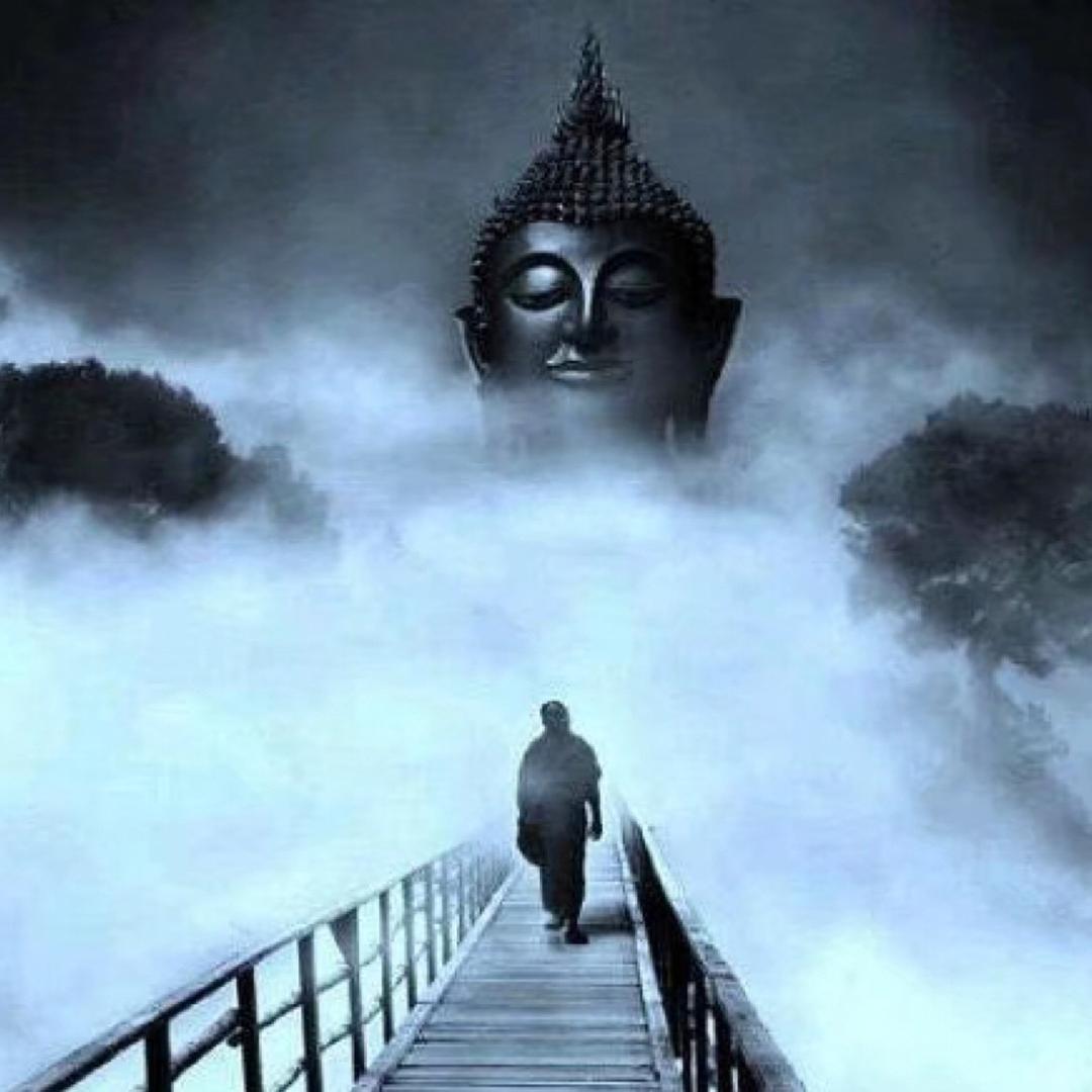 ✨指尖上的爱🐻