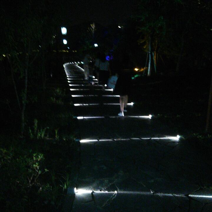 一路清风