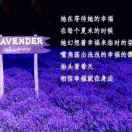 刘珂