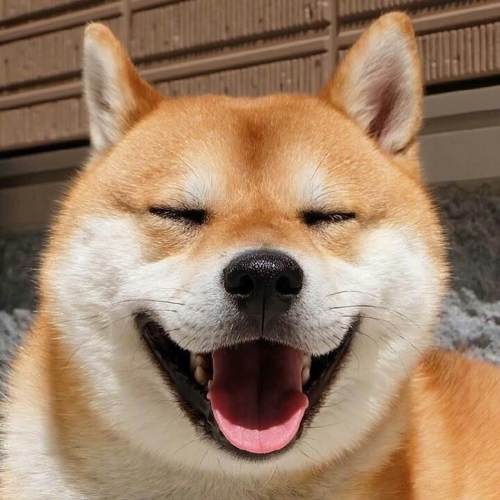 君子有酒