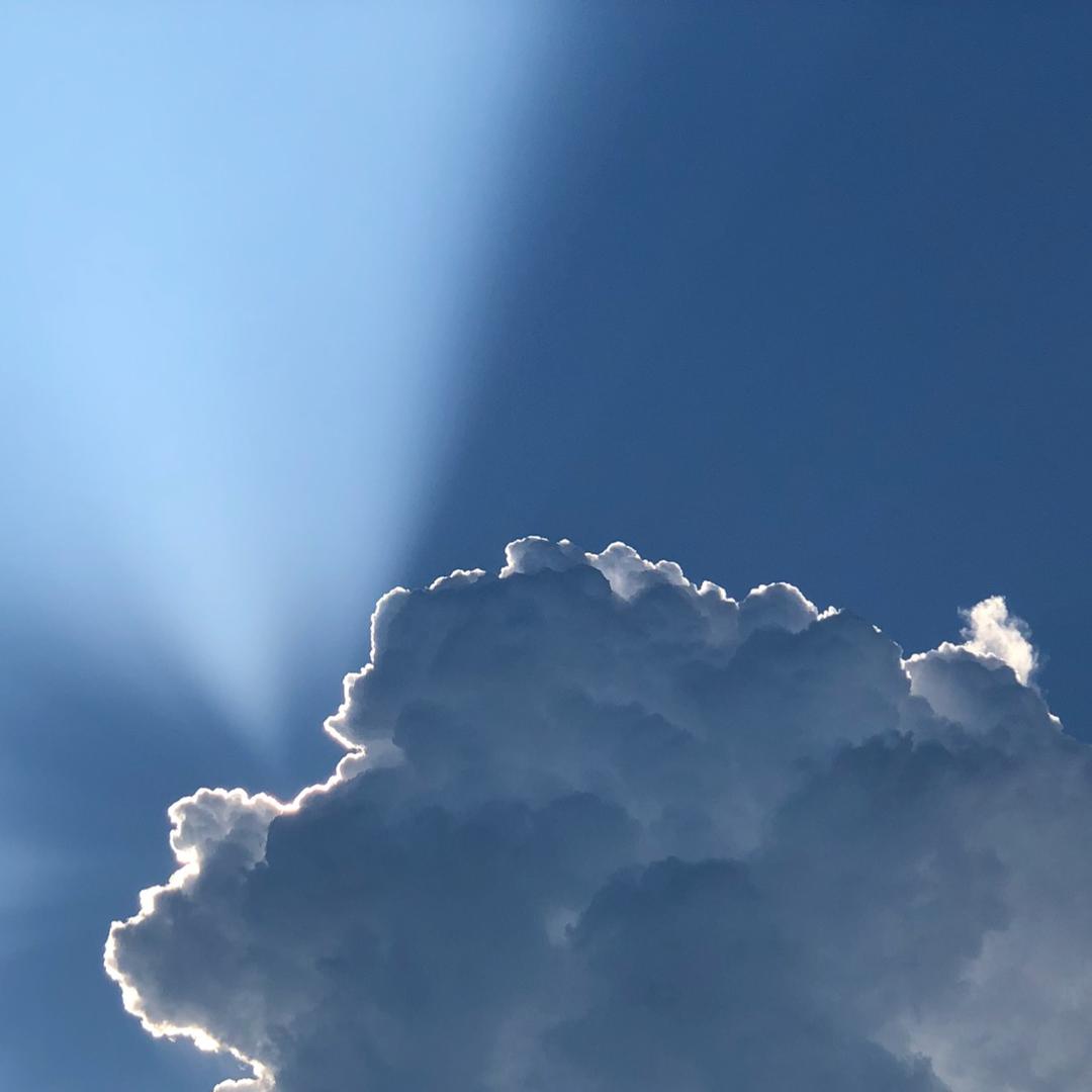 浪迹天涯🚶🏻