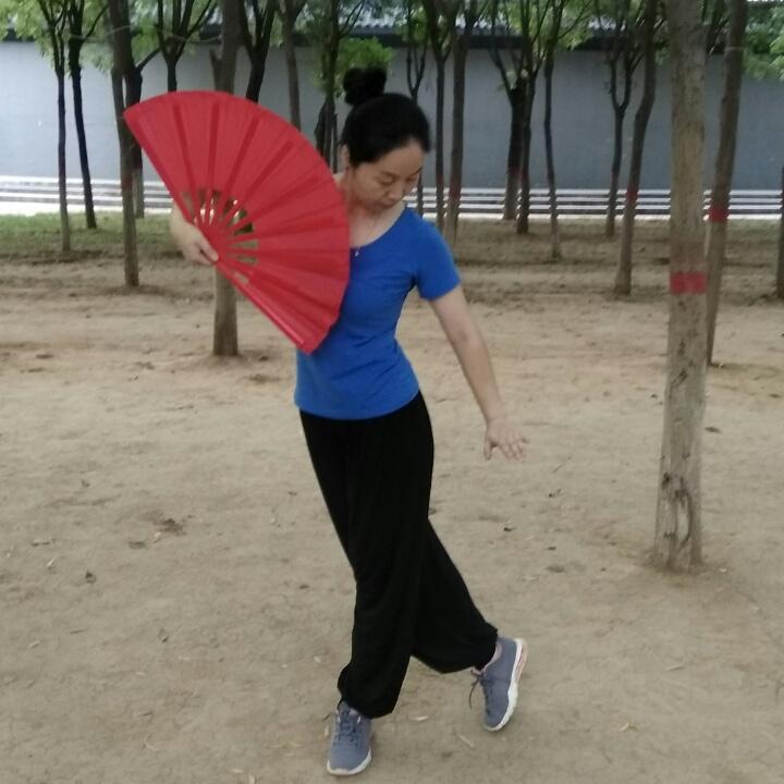郁金香