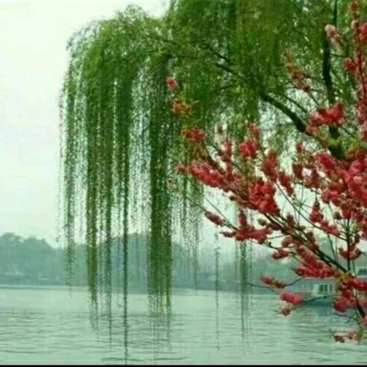 🐉一切顺利🐉