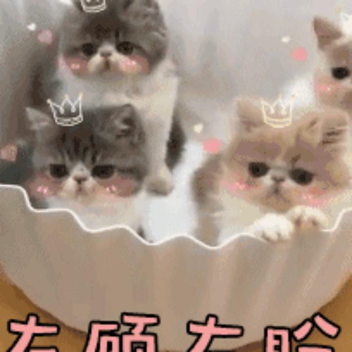 用户5444798958865