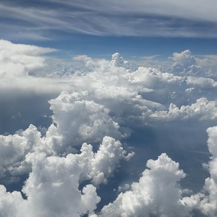 莫将岁月付清淡