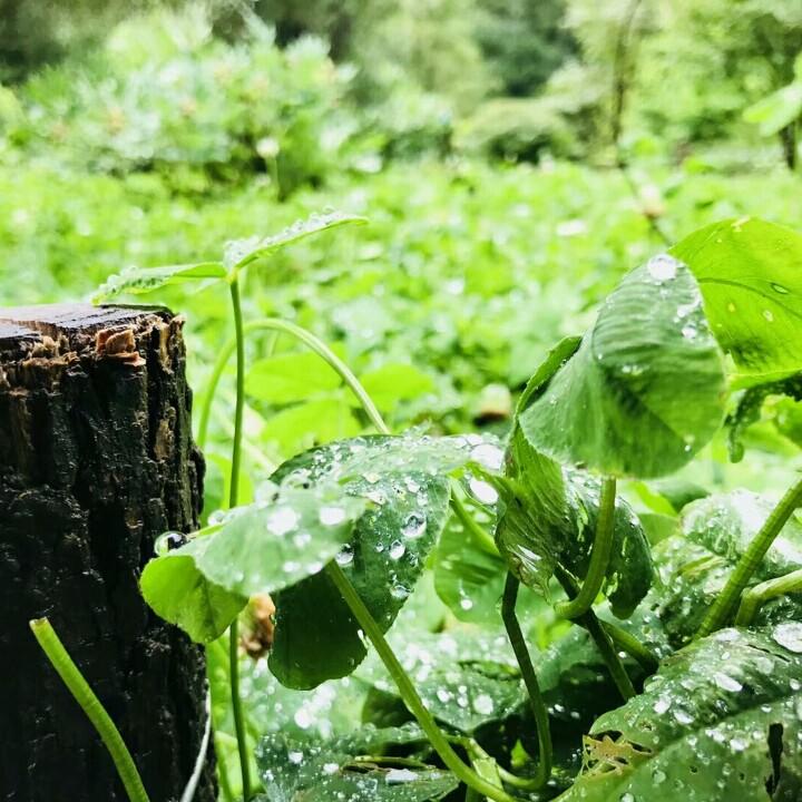 昵称已重置