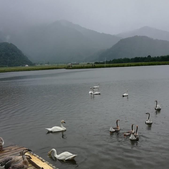 清风兑酒