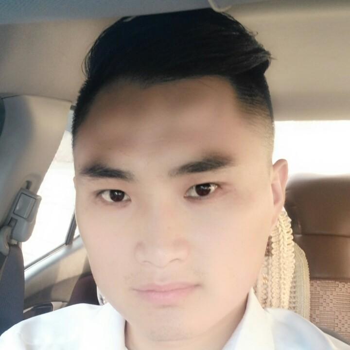 上海车加新能源二手车