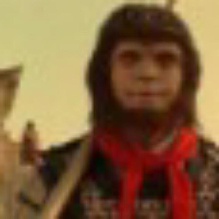 晟泰万利达个体店