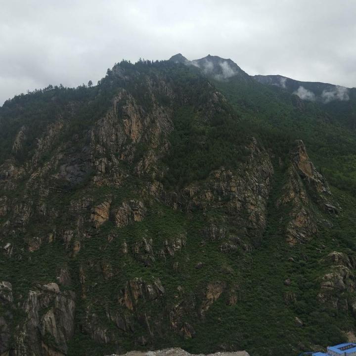 龍long
