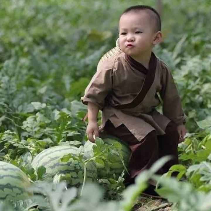 水果大叔杭州总部
