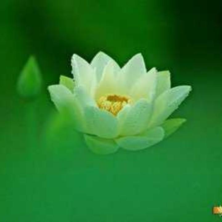 ઈ觉ཽ远ཽ༊᭄º