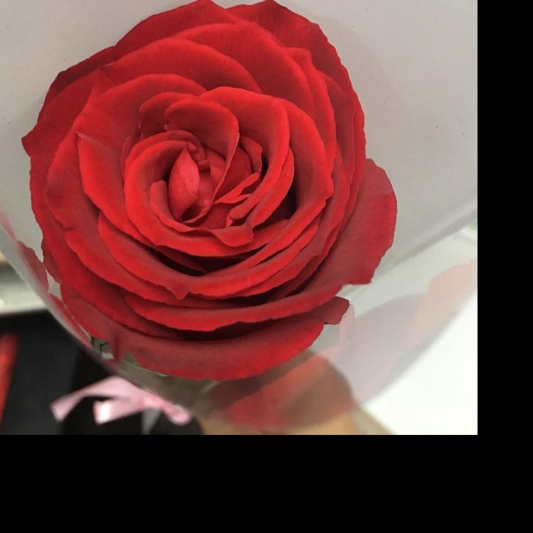 容小厨美食日记