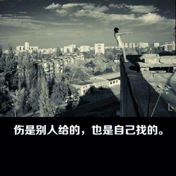 奈何只钟情于秦