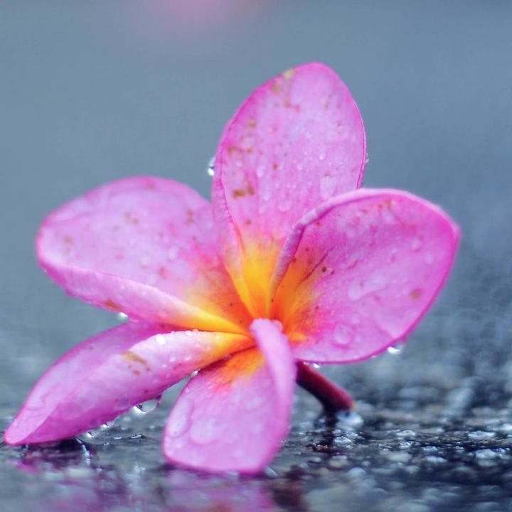 小太阳 🌞《请勿连赞》