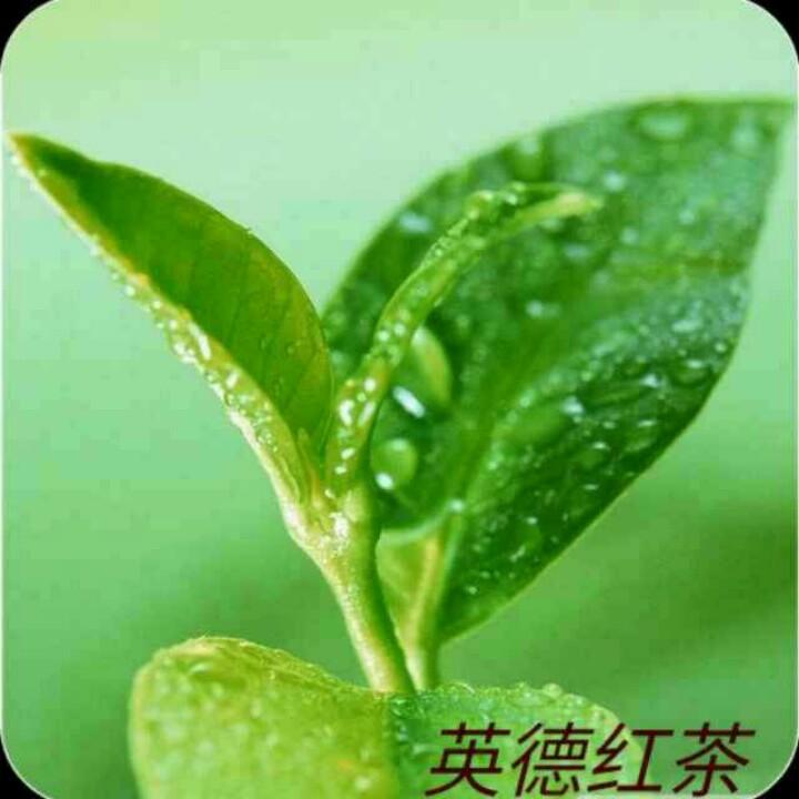 彬。