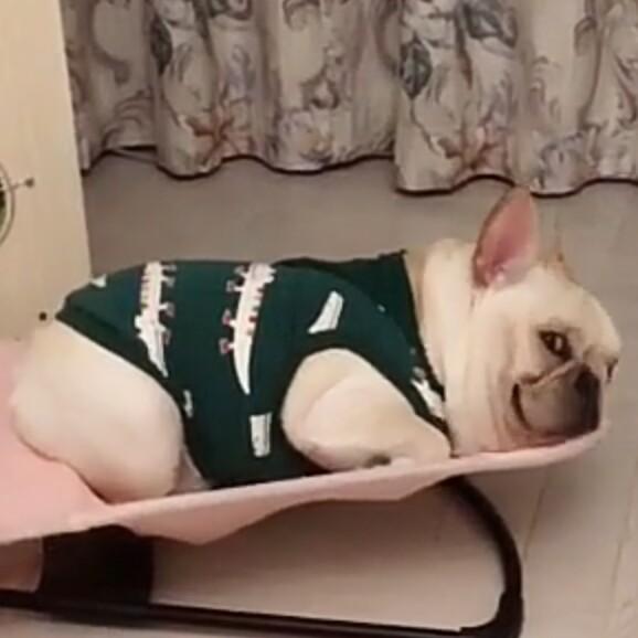 戴同学.