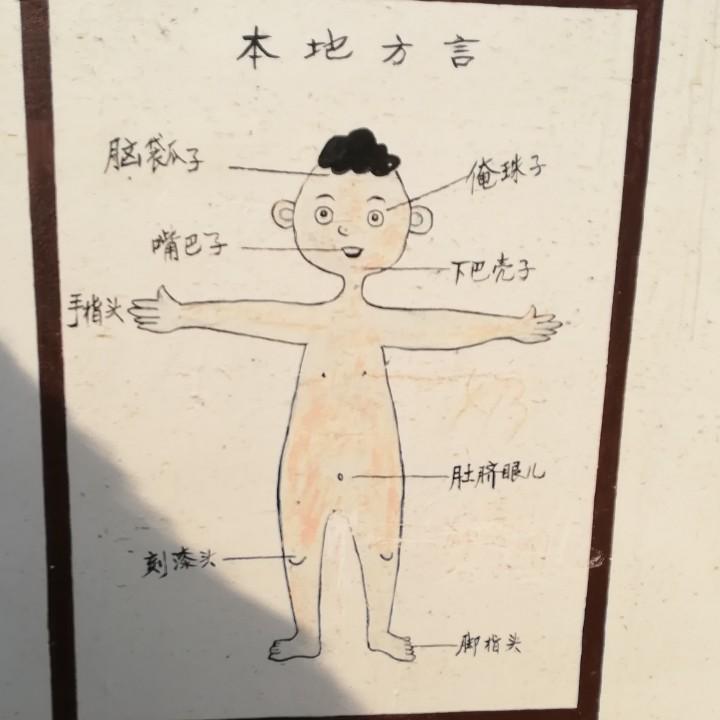 苏北小滑头