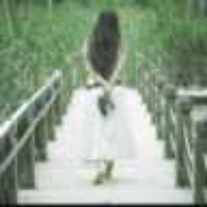 @释然《手机摄影》