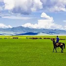仗剑走天涯，纵马行天下