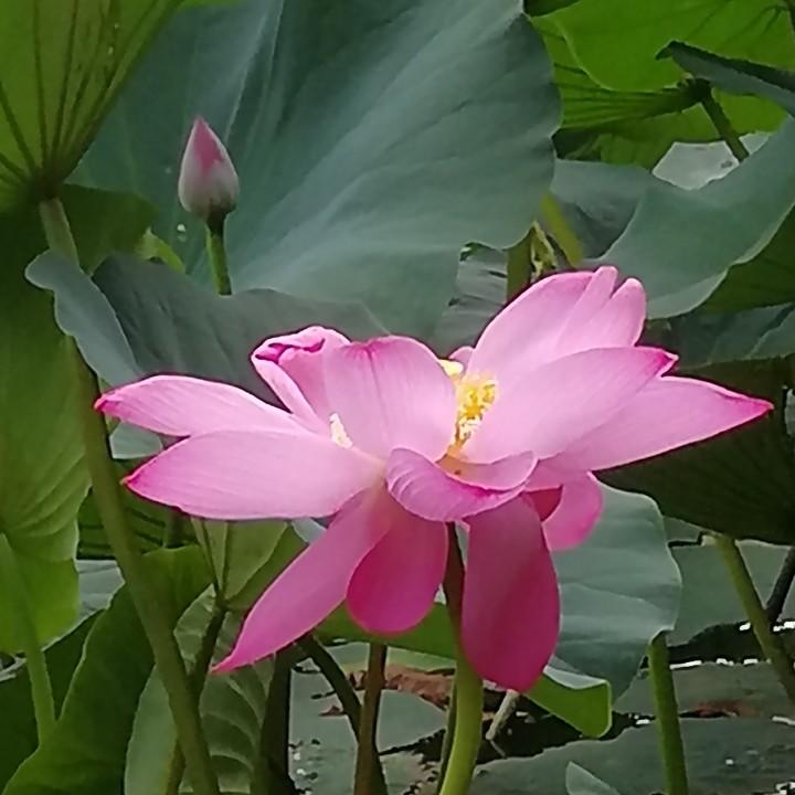 小于儿