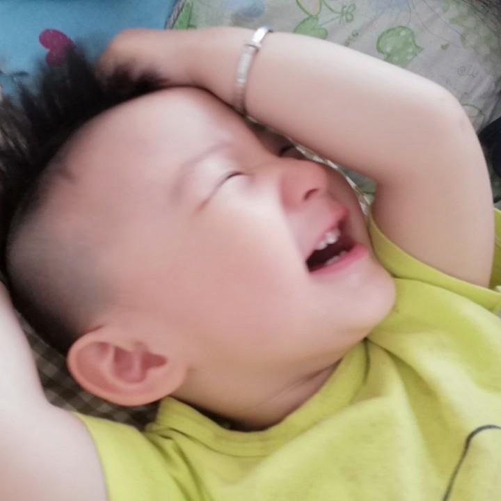 🦀会飞的螃蟹🦀(๑˙❥˙๑)