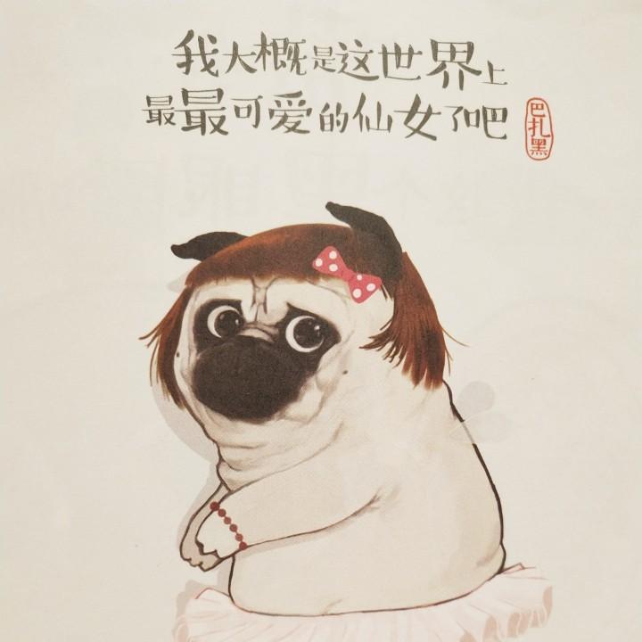 泡泡🍬
