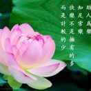 把心靠岸