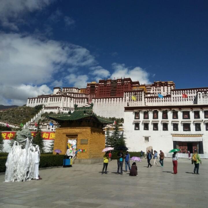 鹤立鸡群之机加人