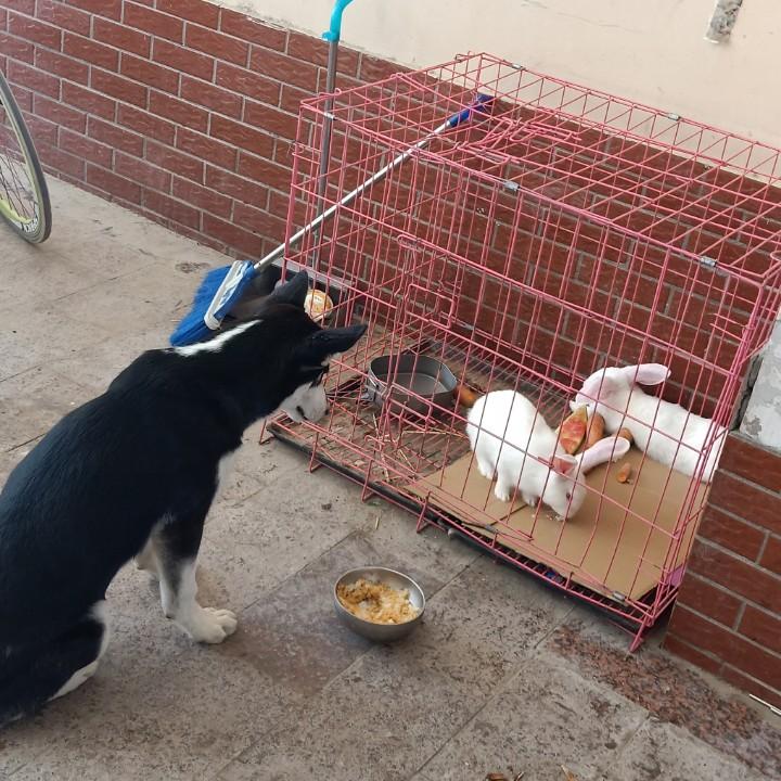 傘和伞？