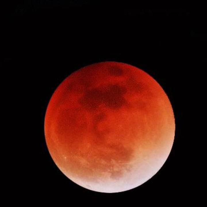 我不是毛豆🇨🇳