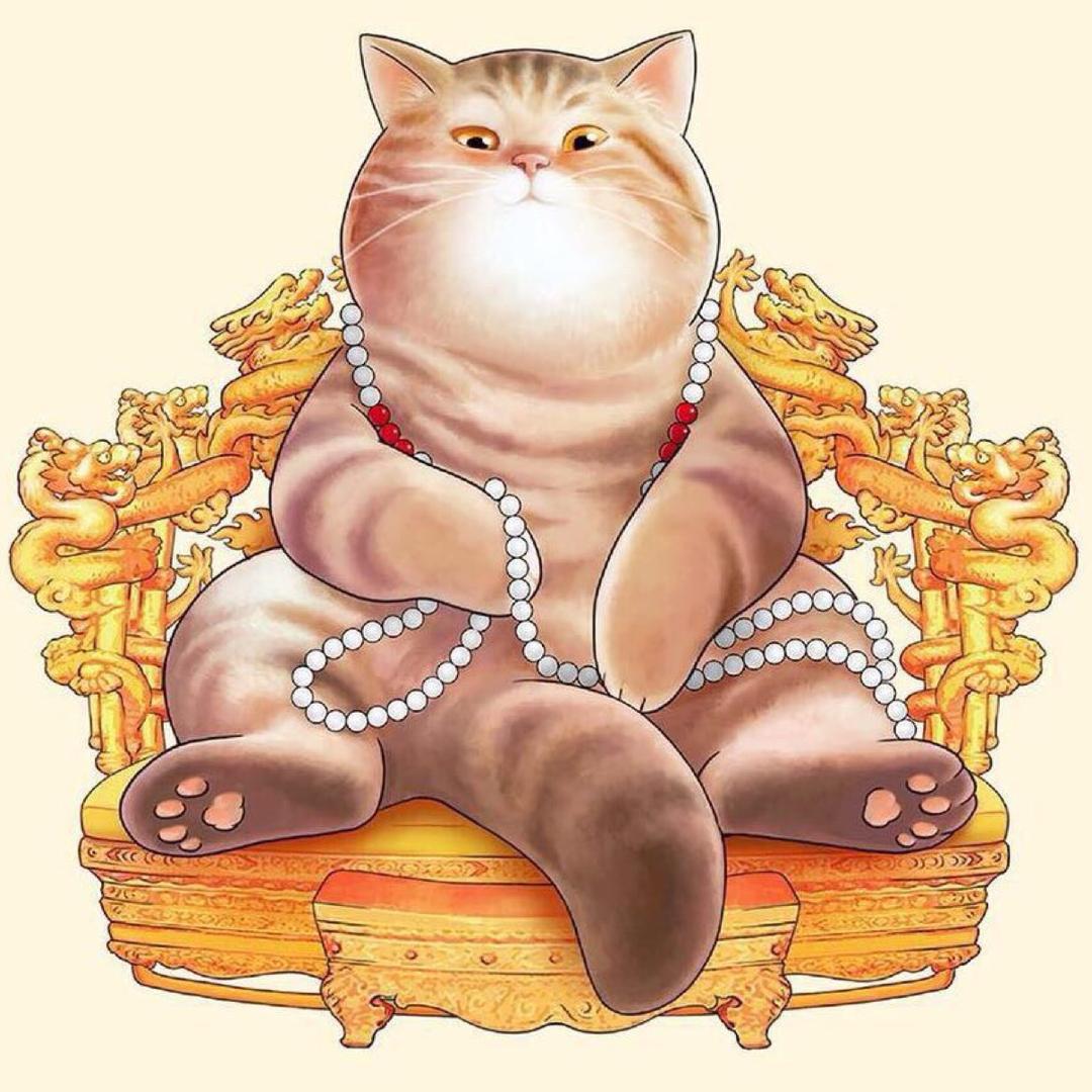 🐱台台🐱