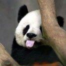王路飞