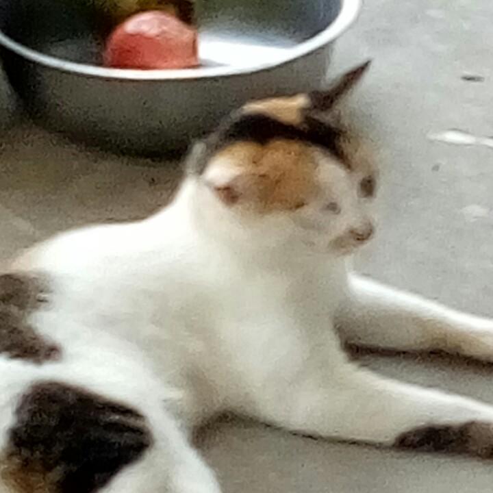 落地皆朋友（钱军）