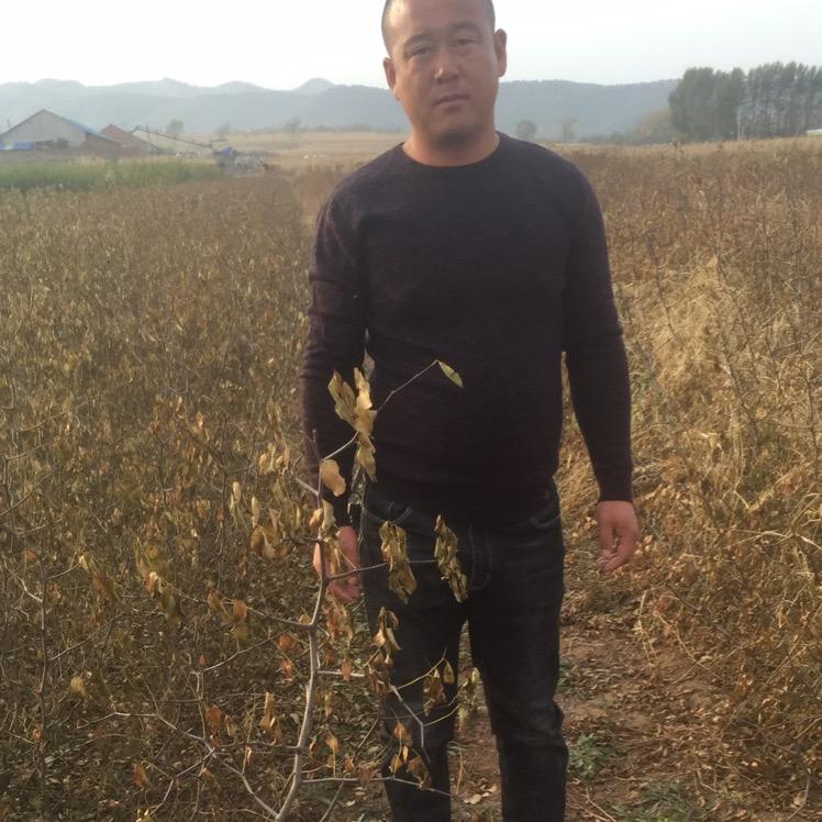 廷雷苗圃