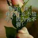 废旧金属回收：武权