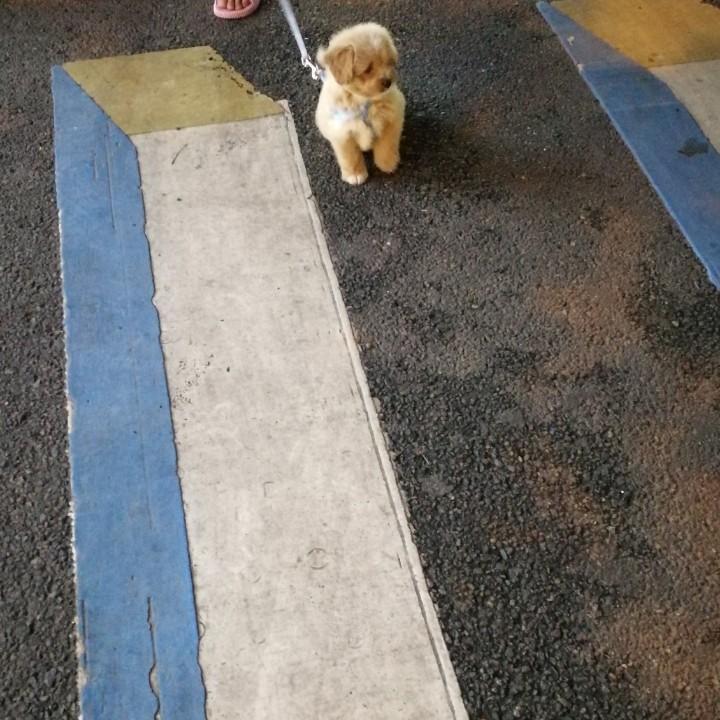 🥦肥肉怎么还不掉?