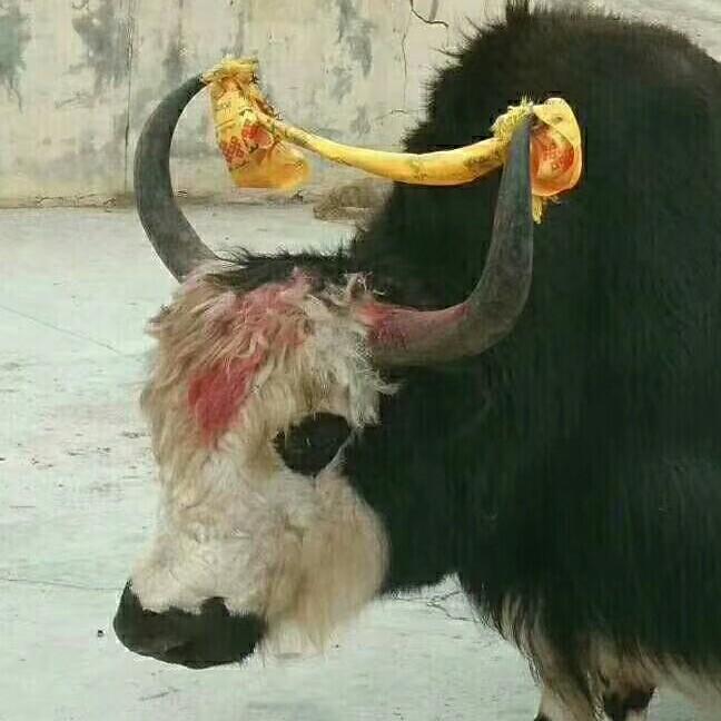 1376