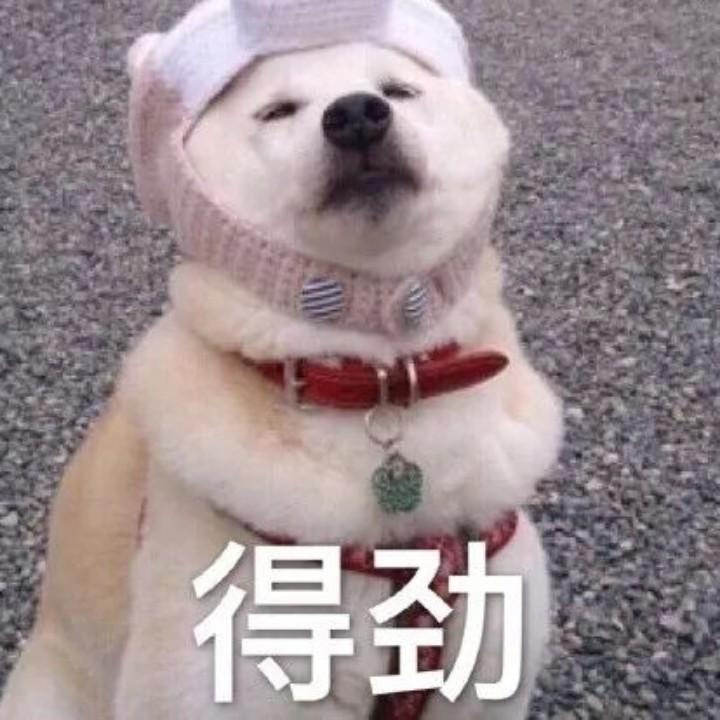 是林先生呀