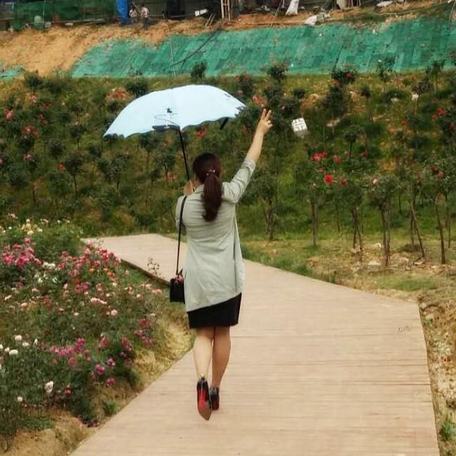 罗小姐吖