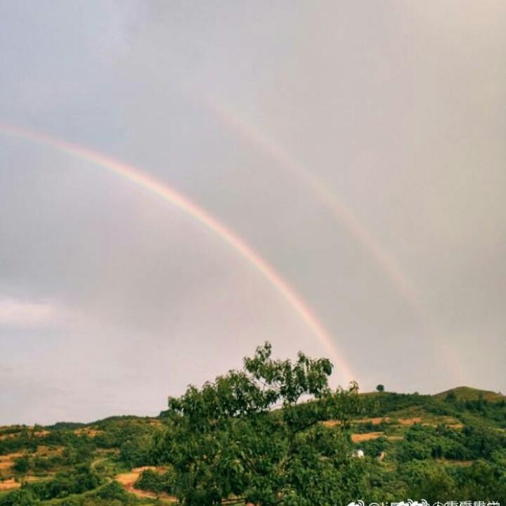 土豆