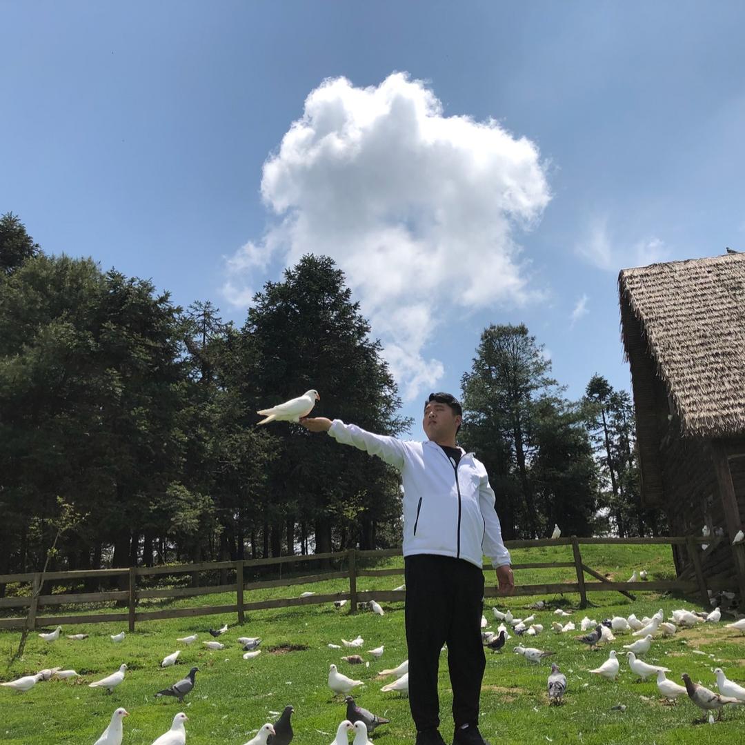 我姓应但心太软