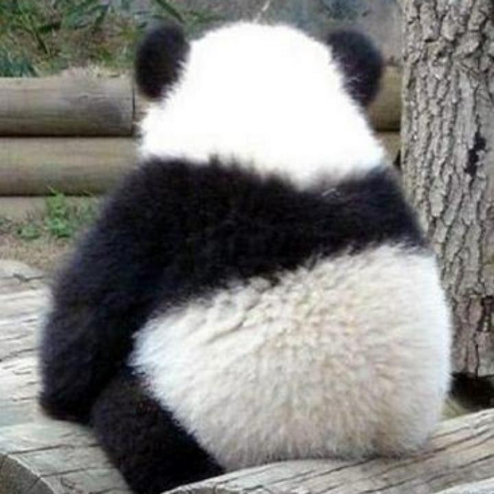 开心