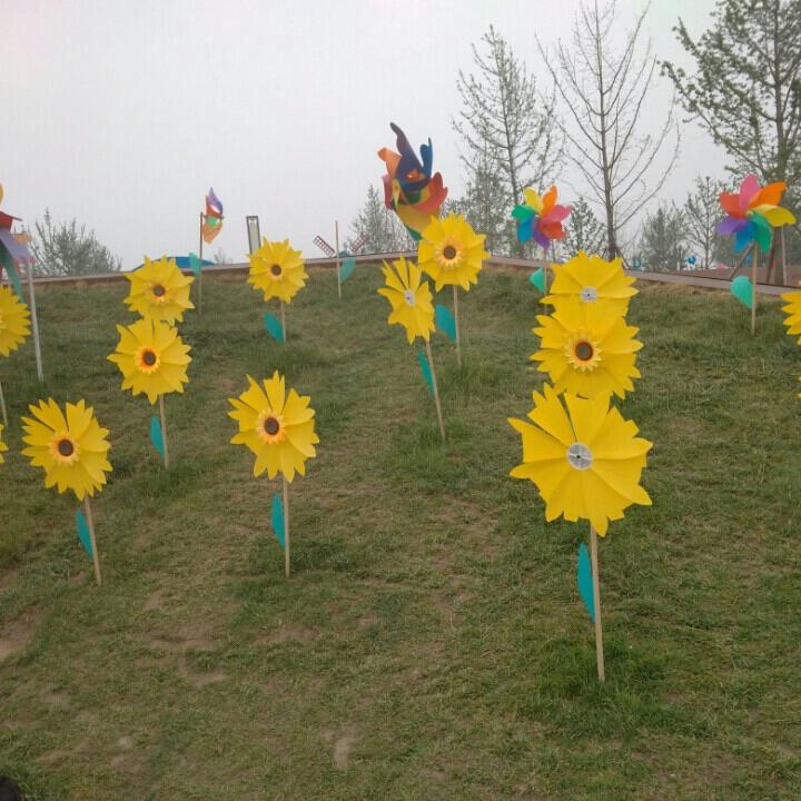 淡然一笑_247975762